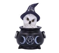 Nemesis Now Owl's Brew 10 cm Noir