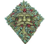 Nemesis Now Plaque Murale Motif Barbe Fruits Rouges 24 cm, Vert, en résine, Taille Unique