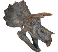 Nemesis Now Plaque Murale Tête de Tricératops 23 cm, Marron, Taille Unique