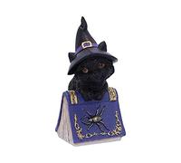 Nemesis Now Pocus Petite sorcière Familiar Figurine Chat Noir et Livre de Sorts, Violet, 12,7 cm