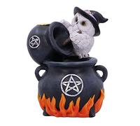 Nemesis Now Snowy Brew Brûleur d'encens à refoulement Noir 17 cm