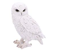Nemesis Now Snowy Watch Large 20 cm, résine, Blanc, Taille Unique