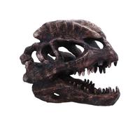 Nemesis Now Statue de crâne de dinosaure - Cadeaux et décoration pour les amateurs de paléontologie et les collectionneurs - Fossile de dinosaure en résine peint à la main - Dilophosaure