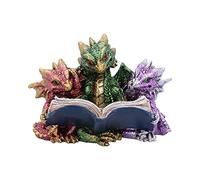 Nemesis Now Figurine Tales of Fire Dragon en polyrésine Multicolore Taille Unique