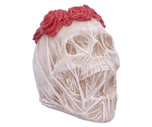 Nemesis Now The Veil Tête de mort gothique et décoration d'Halloween 15 cm