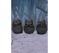 Nemesis Now - Three Wise Fat Cats - Figurine - Noir - Onesize - Résine,Résine