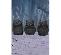 Nemesis Now – Figurine en résine – Motif Trois Chats Gras – 8,5 cm – Noir