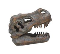 Nemesis Now Tyrannosaure Rex Crâne Autonome Gris 18,5 cm