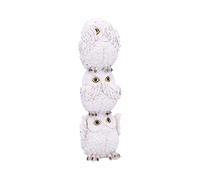 Nemesis Now U4771P9 Wisest Totem Blanc 20 cm