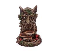 Nemesis Now Wisest Dryad Brûle-encens à refoulement en polyrésine Marron Taille Unique