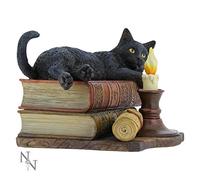 Nemesis Now Witching Hour Figurine Lisa Parker en résine Marron 20,5 cm Fonte dans la Plus Fine résine Peinte à la Main