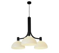NEMO lampe à suspension AS43C (Noir - Métal et verre opale)