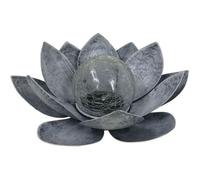 Nénuphar solaire - GALIX