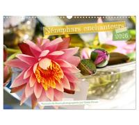 Nénuphars enchanteurs (Calendrier mural 2026 DIN A3 horizontal), CALVENDO calendrier mensuel