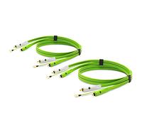 Neo by Oyaide D+ RCA Duo (classe B) Câble audio durable pour DJ, musiciens et producteurs