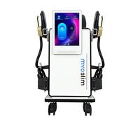 Neo RF Machine de Sculpture du Corps EMS MYOslim RF EMS HI-EMT Sculpture de Graisse Minceur Lift Hanches Coussin Pelvien Stimulation Musculaire Perte de Poids