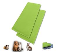 NEO SOLVO Lot de 2 Tapis de Jeu en Polaire pour Cochon d'Inde et Lapins - Tout en Un, C'est Une Couverture, Un Tunnel Géant, Une Maison, Un Coussin et Un Lit - 60cm x 120cm - Vert