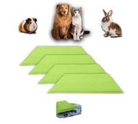 NEO SOLVO Lot de 4 Tapis de Jeu en Polaire pour Cochon d'Inde et Lapins - Tout en Un, C'est Une Couverture, Un Tunnel Géant, Une Maison, Un Coussin et Un Lit - 50cm x 60cm - Vert