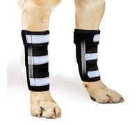 NeoAlly Paire de bretelles de jambe avant pour chien avec bandes à ressort en métal pour stabiliser et soutenir la jambe avant du poignet carpien, prévenir les blessures aux jambes, les entorses, l'arthrite (L/XL)