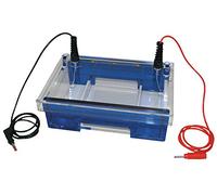Neolab 7 0170 Peigne Elektrophorese Chambre, 18 poches, capacité 30 µl, 1,5 mm, 5 mm de large