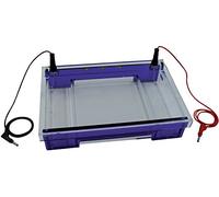 Neolab 7 0229 Peigne Elektrophorese Chambre, 44 poches, capacité 12 µl, 1,0 mm, 3 mm de large