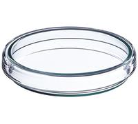 neoLab Lot de 5 boîtes de Pétri en verre borosilicate Anumbra Transparent Diamètre 80 mm Hauteur 15 mm