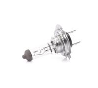 NEOLUX® N499-01B Ampoule, projecteur longue portée
