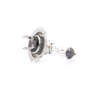 NEOLUX® N499 Ampoule, projecteur longue portée