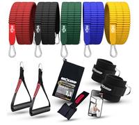 NEOLYMP Lot de 5 bandes de résistance de qualité supérieure avec e-book (français non garanti) - Lot de 5 bandes de résistance avec ancrage de porte, poignées et sangles pour les pieds - Bandes de