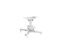 Neomounts Support plafond vidéoprojecteur CL25-530WH1, 25,5 cm, orientable -8°/8°, 45 kg, blanc