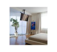 Support plafond pour écran LCD NEWSTAR FPMA-C060BLACK - Noir - 10""-40"" - Inclinable