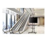 NewStar LCD/LED/Plasma floor stand 32 - 55"", PLASMA-M1700E (32 - 55 VESA 200x200 to 600x450mm.)