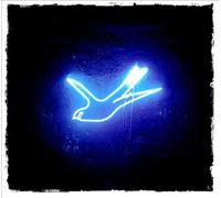 Neon Blue Bird [Digipak] by Ollabelle [CD] NEUF