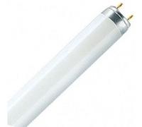Neon lumilux t8 30w 865 plus 6500k culot g13 Incolore G