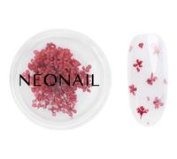 NEONAIL Dried Flowers fleur séchée ongles teinte 08 Red 1 pcs