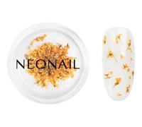 NEONAIL Dried Flowers fleur séchée ongles teinte Orange 1 pcs