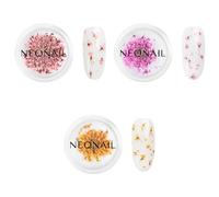 NEONAIL Fleurs Séchées - Set de décoration d'ongles - Nail Art Ongles - Deco Ongle Nail Art - Accessoire Ongle - 3 couleurs - rose, violet, orange