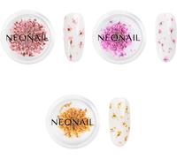Neonail Fleurs Séchées - Set De Décoration D'ongles - Nail Art Ongles - Deco Ongle Nail Art - Accessoire Ongle - 3 Couleurs - Rose, Violet, Orange