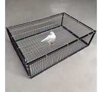 NEONMAN Piège à Pigeons Piège à Oiseaux Cage piège à Animaux piege oiseau cage à pigeon Porte de Pigeon Pièges importés avec 4 entrées à sens Assemblage Facile Conception Anti-évasion Convient aux pig