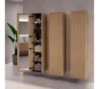 neoro n50 Colonne avec miroir intérieur l: 40 H: 180 cm, 1 porte, charnières réversibles, façade en chêne striée, BN0460PO,