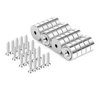 Neosmuk Lot de 20 aimants ronds puissants pour le mur - Avec vis pour bois - Aimant en néodyme avec trou au milieu - Aimant plat de 17 mm