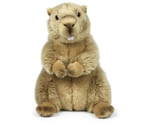 Neotilus WWF Marmotte - 23 cm