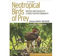 Neotropical Birds Of Prey: The Origins And Evolution Of No Child Left Behind