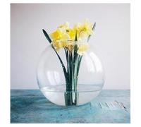 Neov - Soft Atlas (Black Vinyl) [Import]