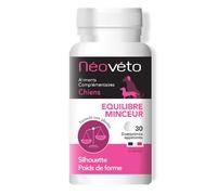 Néovéto équilibre Minceur, comprimés naturels pour Chien à Base d’Actifs agréés par Les Services vétérinaires français, fabriqué en France, Perte de Poids