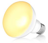 NEPTONION Lampe chauffante UV pour reptiles, 100 W, spot lumière du jour pour lézards, tortues, ames barbus (E26, 220 V)