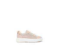 Baskets basses femmes NeroGiardini E615273D-677 Beige 39
