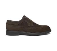 Nerogiardini - Derby Brogue - Homme - Chaussures - Brun - Taille: 42 EU