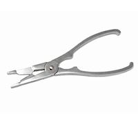 Nerthus de Fruits de mer Cracker, Argent