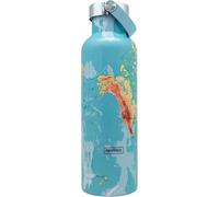 Nerthus Fih 767 Bouchon Thermique Double Paroi Pour Carte Du Monde Froid Et Chaud, Acier Inoxydable 750 Ml, Sans Bisphénol A, 18/8